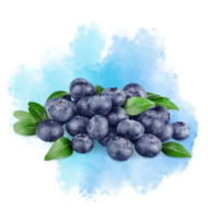 Blueberry – DIY Flavor Concentrate